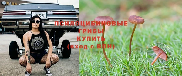 гашиш Арсеньев